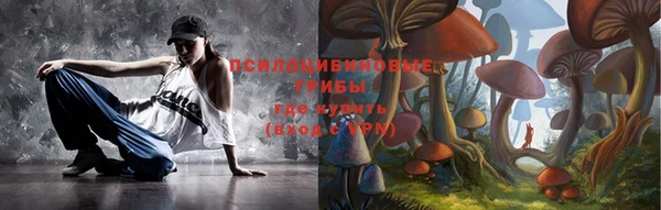 прущая мука Ессентукская