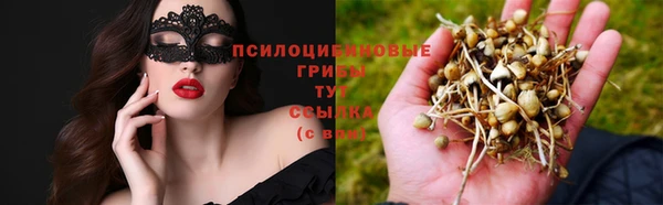 прущий лед Санкт-Петербург