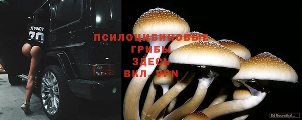 прущая мука Ессентукская