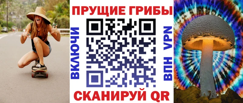 Купить где  Оса  Галлюциногенные грибы Magic Shrooms 
